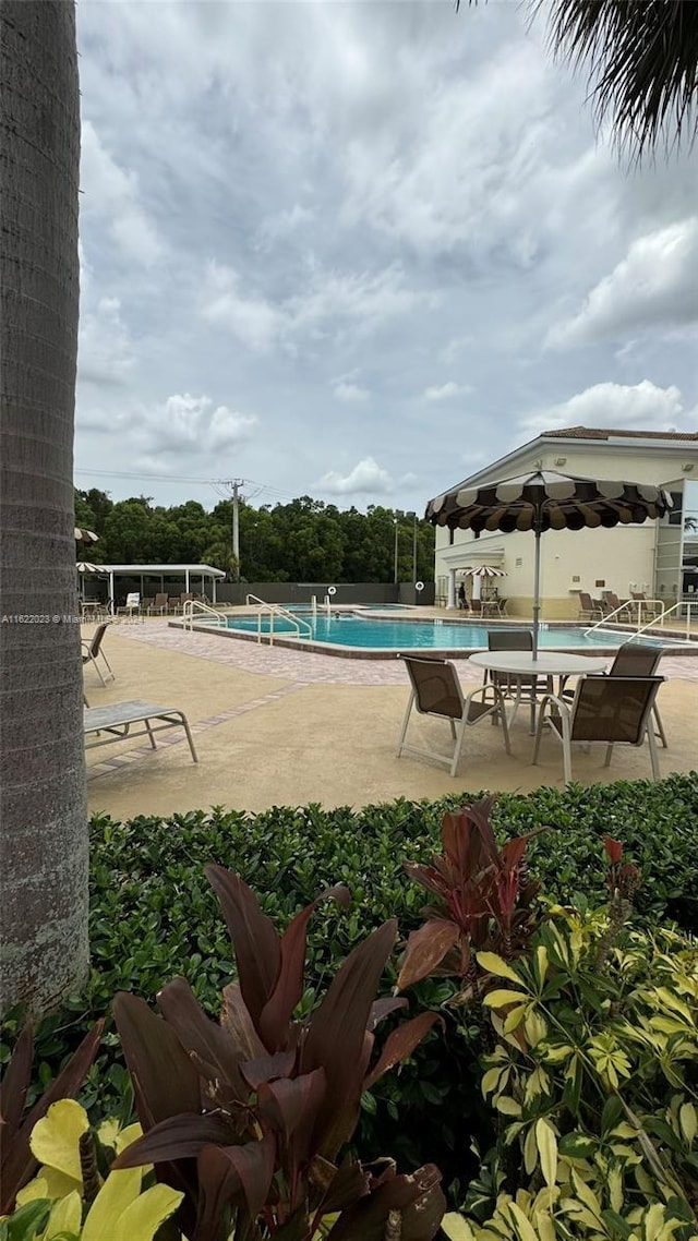 view of swimming pool with a patio area