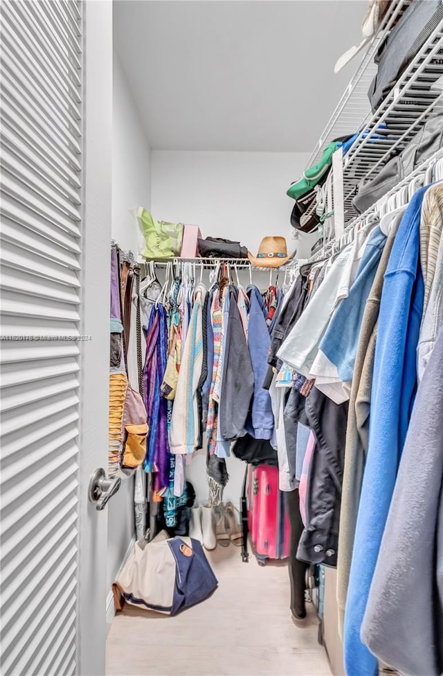 spacious closet with hardwood / wood-style floors