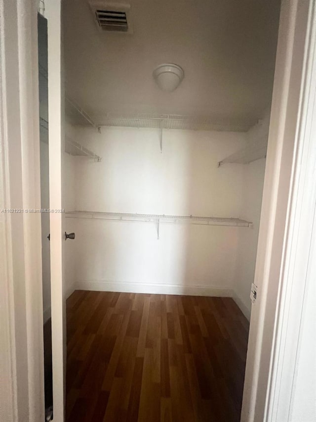 spacious closet with wood-type flooring