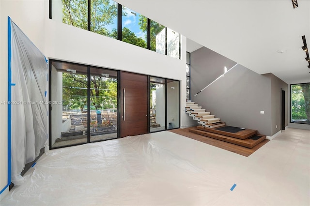 entrance foyer with a healthy amount of sunlight and a towering ceiling