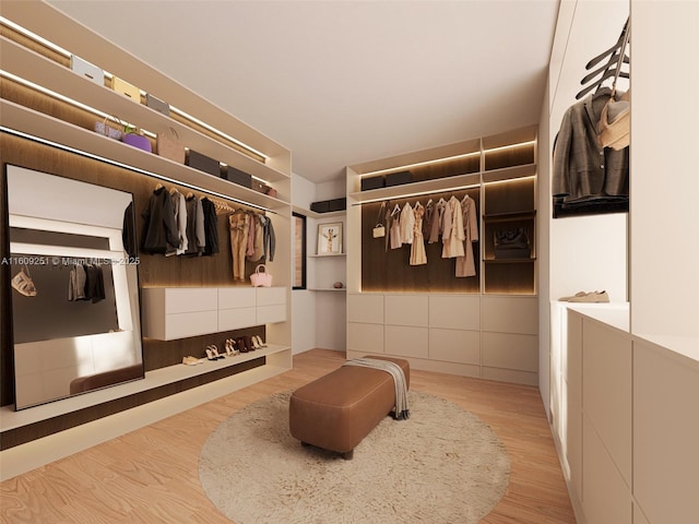 walk in closet with light wood-type flooring