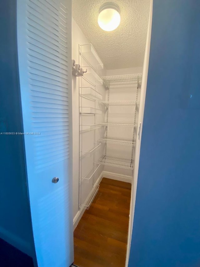 spacious closet with wood-type flooring