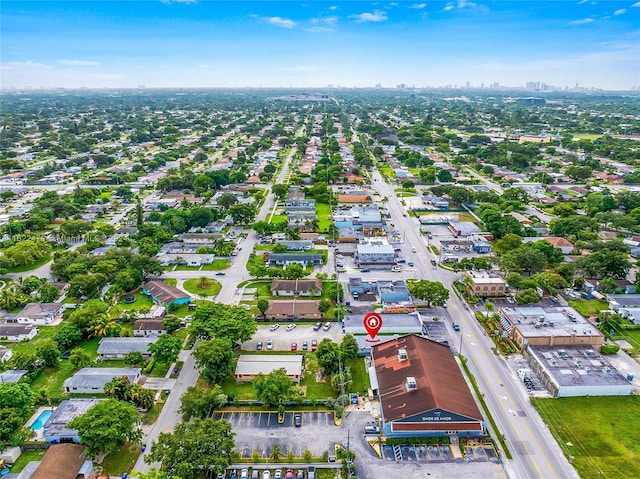 bird's eye view