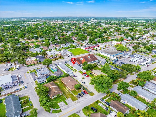 bird's eye view