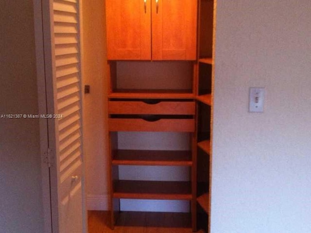 view of closet