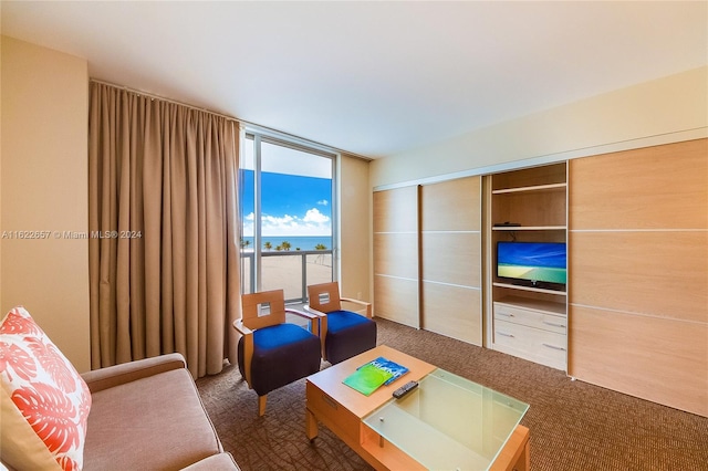 carpeted living room with expansive windows