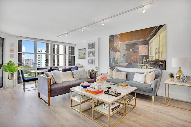 living room featuring rail lighting and light hardwood / wood-style floors