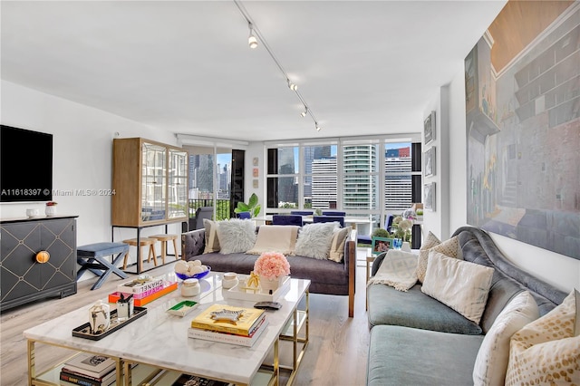 living room with a wall of windows, wood-type flooring, and rail lighting