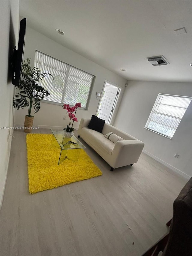 living room featuring hardwood / wood-style floors