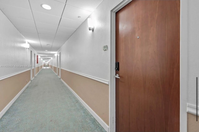 hall with carpet floors and a drop ceiling