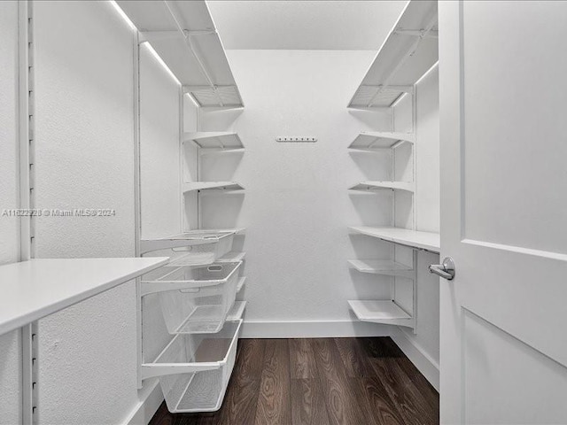 spacious closet with dark wood-type flooring