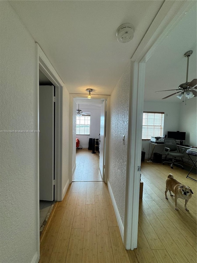 hall with light wood-type flooring