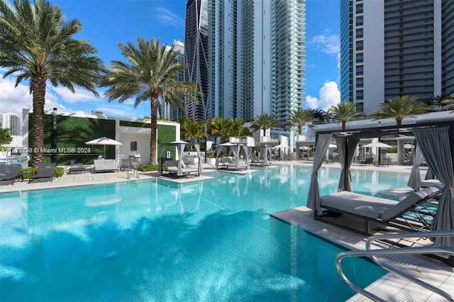 view of pool with a patio area