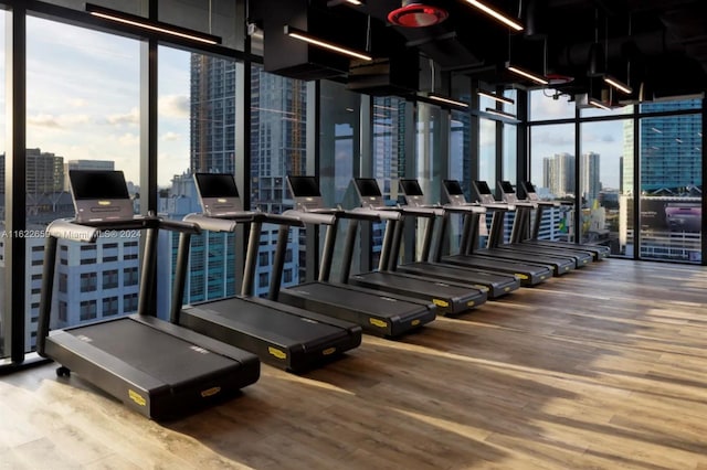 gym featuring a healthy amount of sunlight, hardwood / wood-style floors, and expansive windows