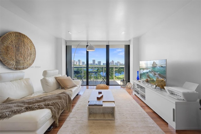 living room featuring dark wood-type flooring and expansive windows