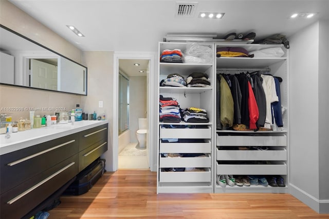 closet featuring sink