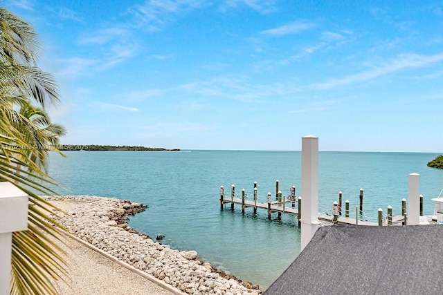 dock area with a water view