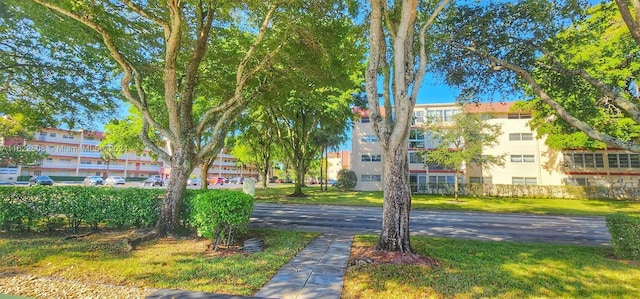 view of community featuring a lawn