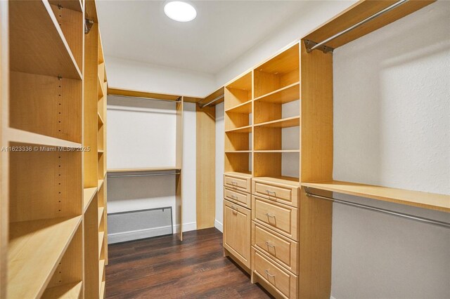 spacious closet with dark hardwood / wood-style floors