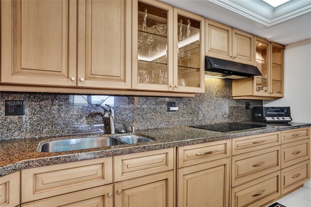 kitchen with sink, black electric cooktop, and decorative backsplash