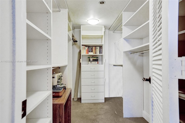 view of walk in closet