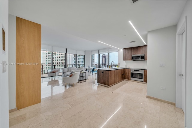 kitchen with appliances with stainless steel finishes, a wealth of natural light, expansive windows, and sink