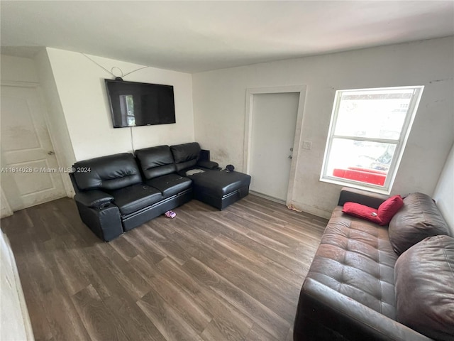 living room featuring hardwood / wood-style flooring