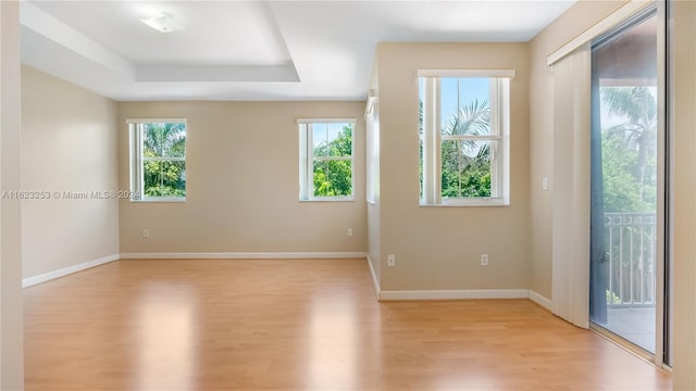 empty room featuring light hardwood / wood-style flooring and a raised ceiling