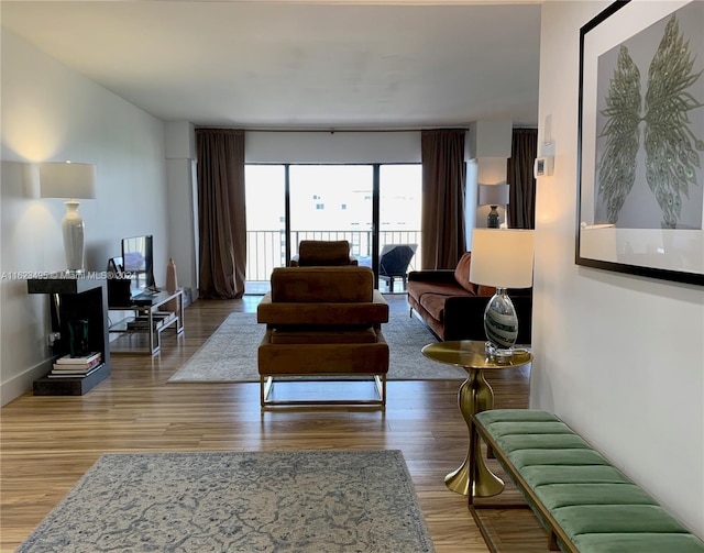 living room with hardwood / wood-style flooring