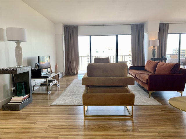 living room featuring light hardwood / wood-style flooring and a wealth of natural light