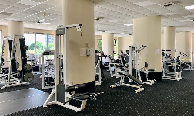 gym featuring a paneled ceiling and carpet floors