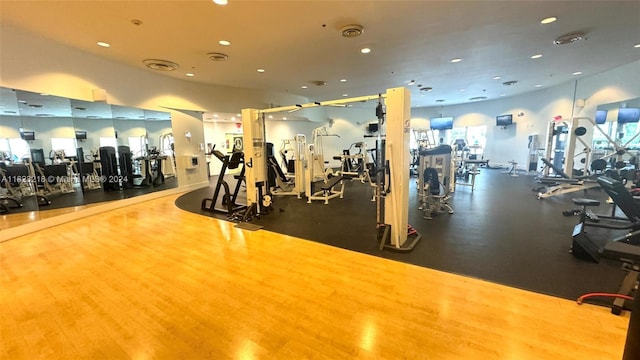 exercise room featuring dark hardwood / wood-style flooring