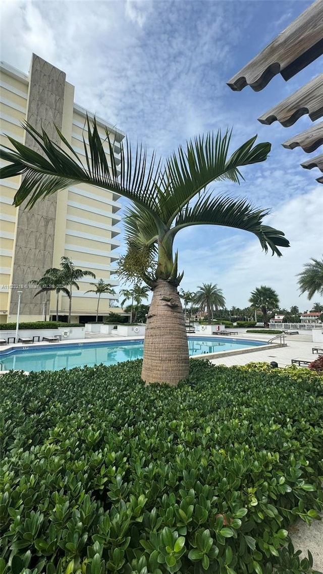 view of swimming pool