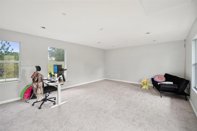 office area featuring carpet flooring