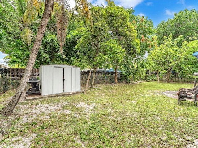 view of yard with a storage shed