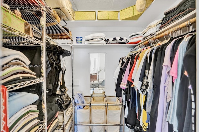 view of spacious closet