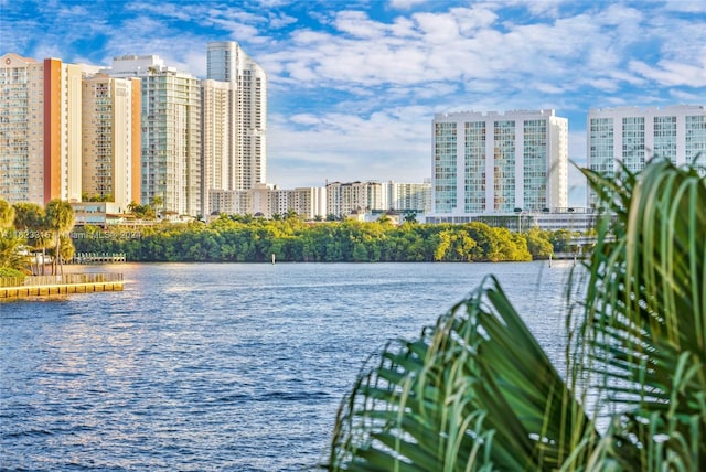 property view of water