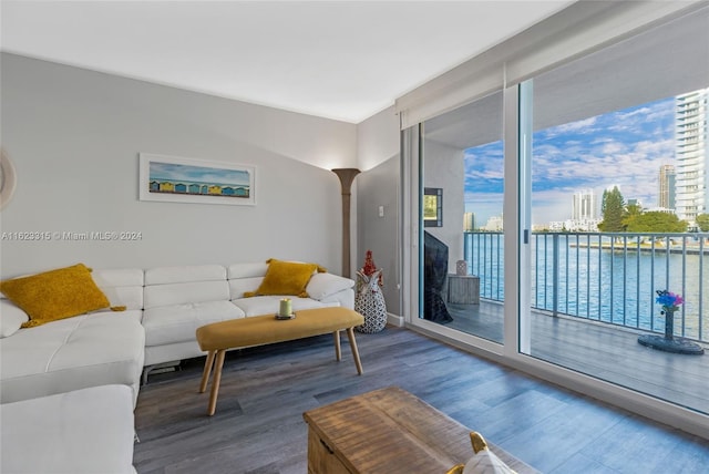 living room featuring hardwood / wood-style flooring and a water view