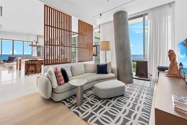 living room featuring wood-type flooring, rail lighting, a healthy amount of sunlight, and a water view