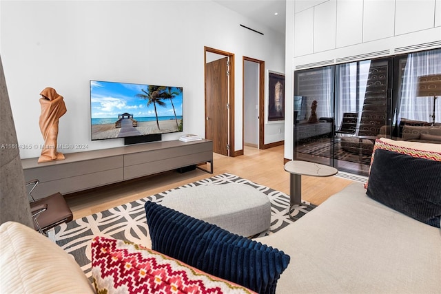 living room featuring light hardwood / wood-style floors