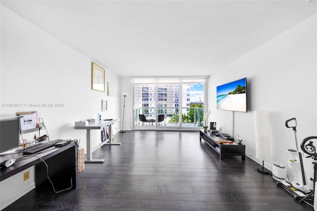 office area with dark hardwood / wood-style floors and expansive windows