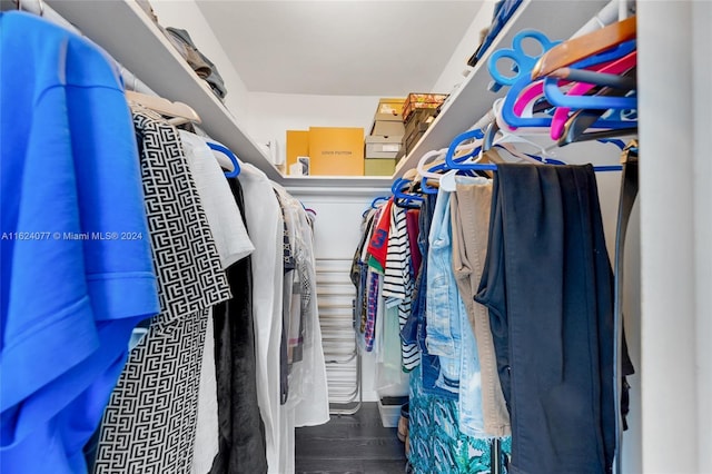 spacious closet featuring dark wood-type flooring