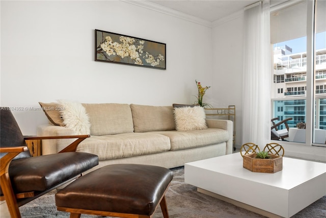 living room featuring ornamental molding