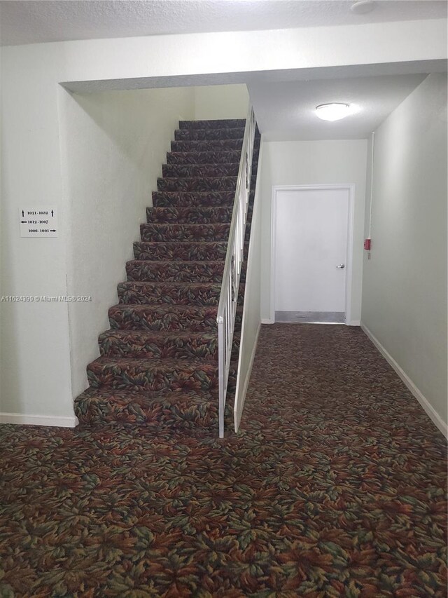 stairs with carpet