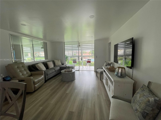 living room featuring hardwood / wood-style floors