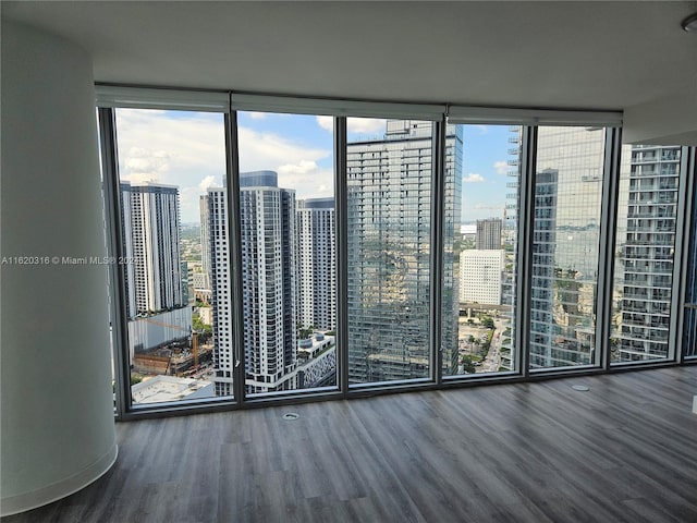 spare room featuring floor to ceiling windows, hardwood / wood-style flooring, and plenty of natural light