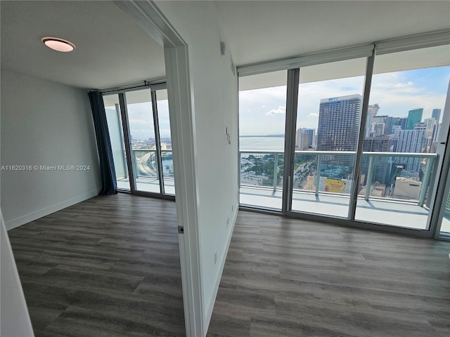 unfurnished room featuring plenty of natural light and dark wood-type flooring