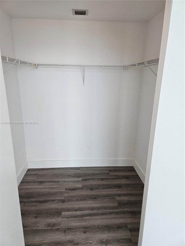 spacious closet featuring dark hardwood / wood-style floors