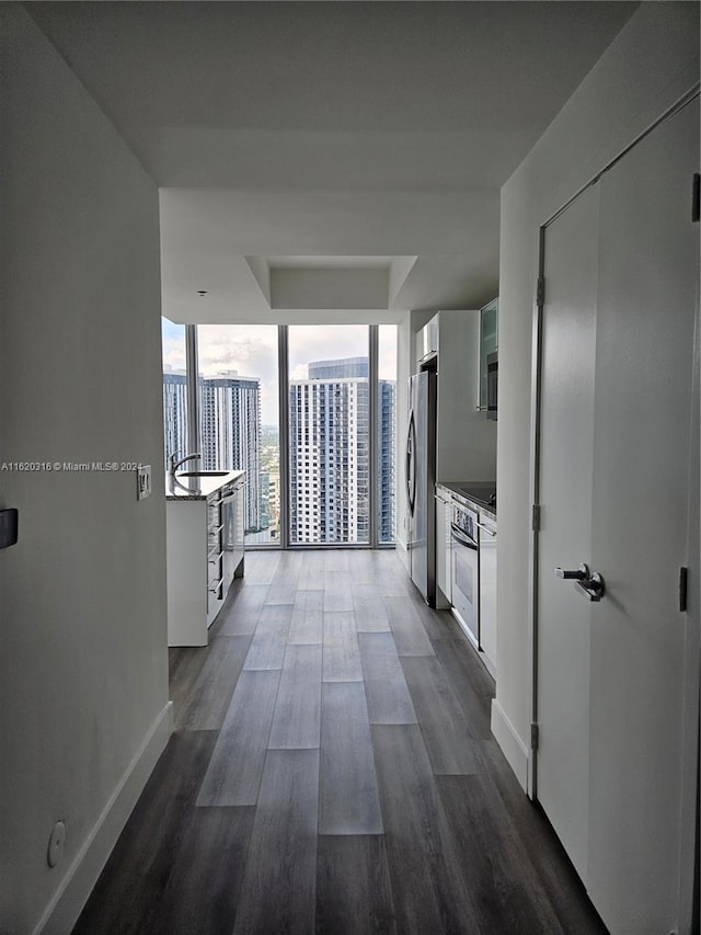 hallway with dark wood-type flooring and expansive windows