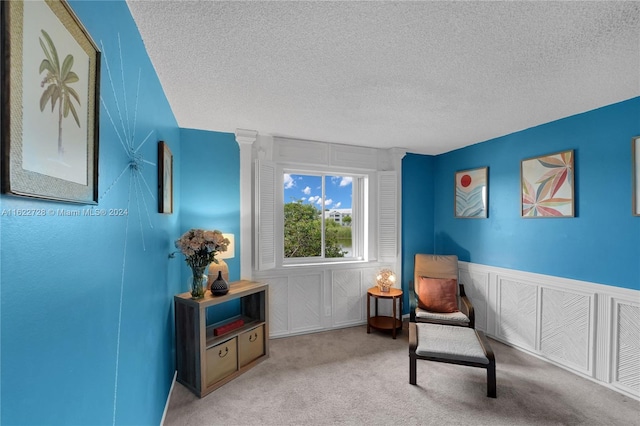 sitting room with light carpet and a textured ceiling